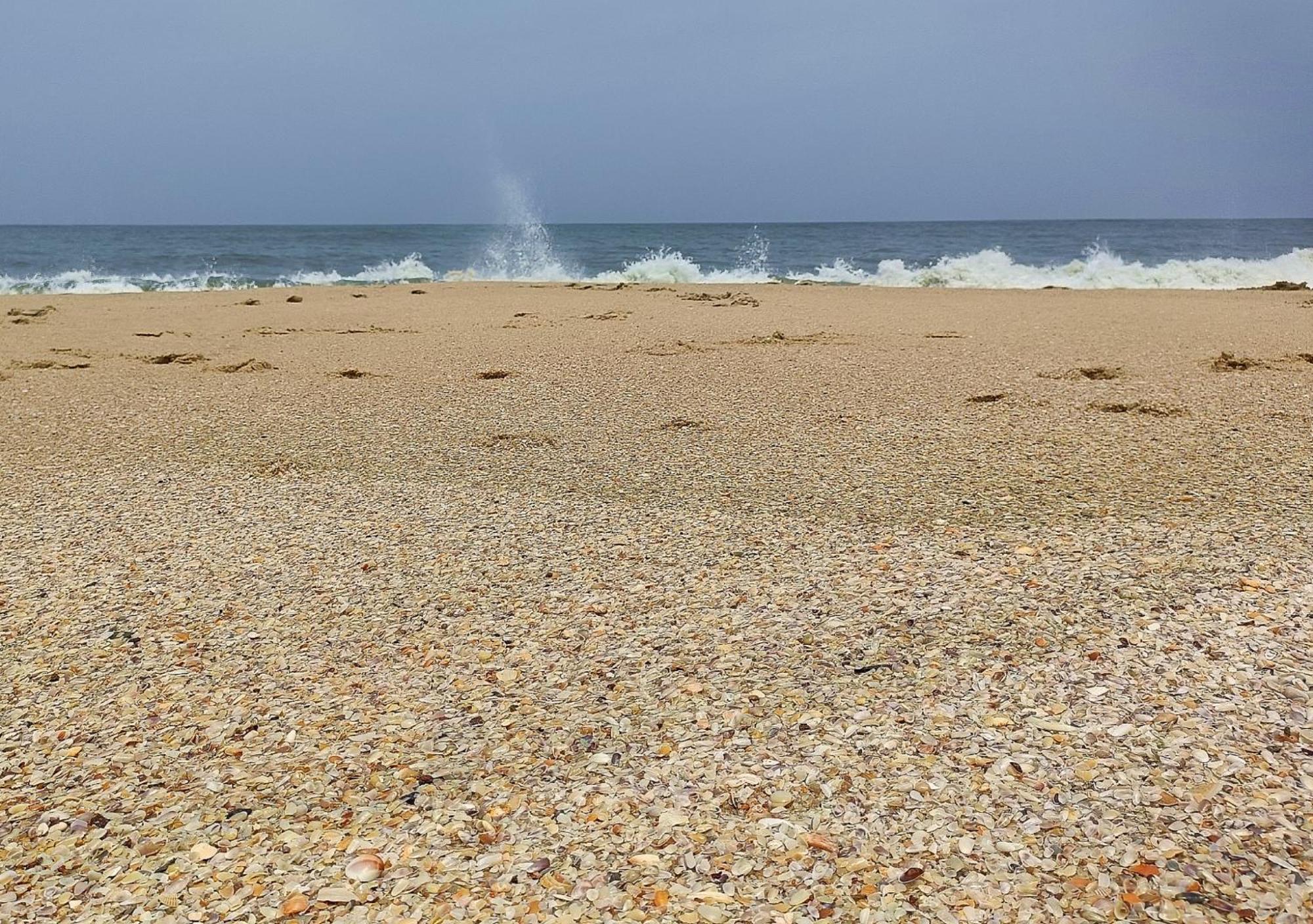 Marari Beach Cleetus Homestay Mararikulam Dış mekan fotoğraf