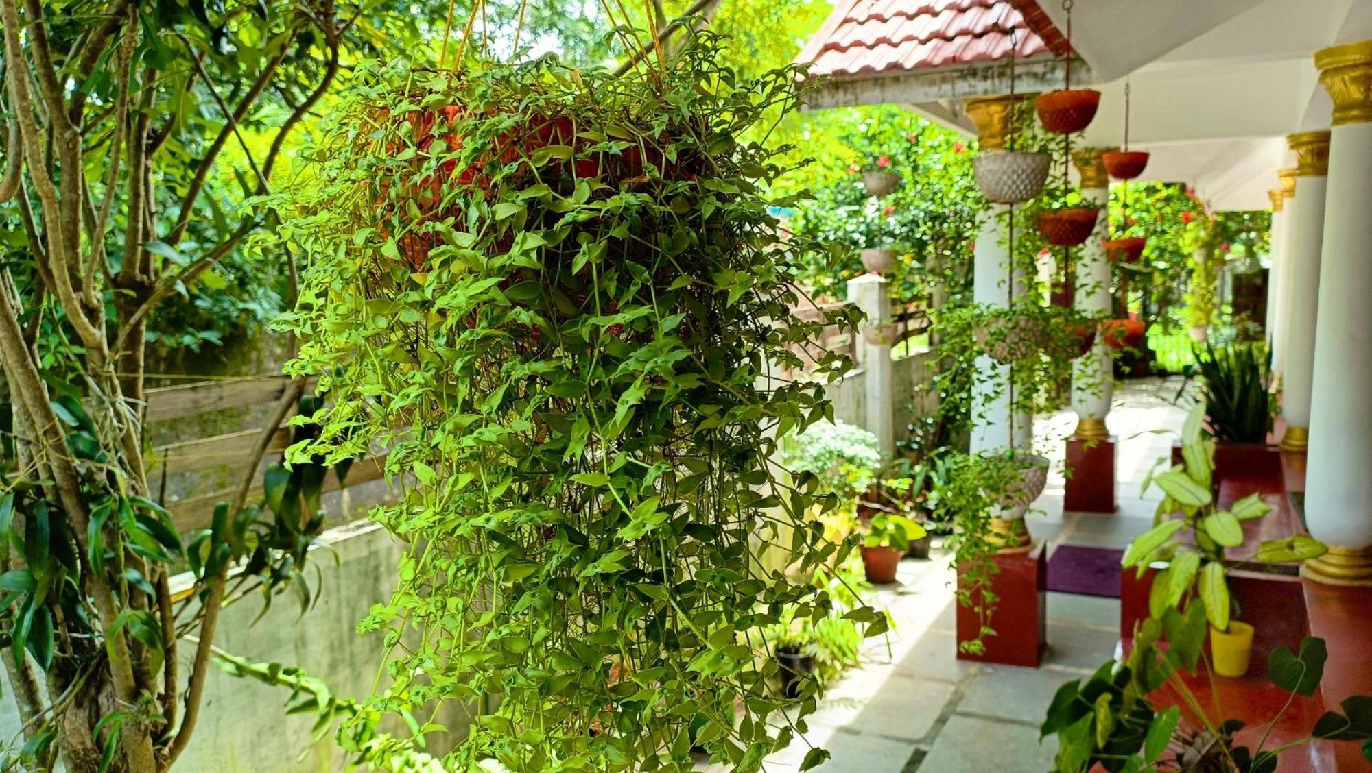Marari Beach Cleetus Homestay Mararikulam Dış mekan fotoğraf